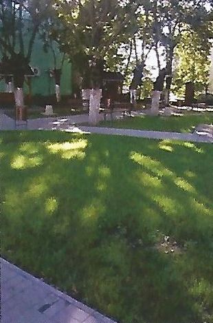 Aleile parcului din centru